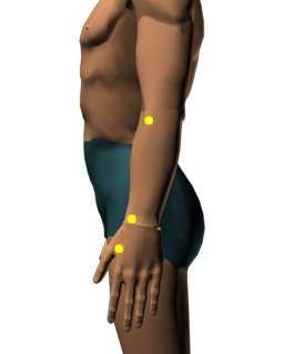 Acupressure to You Logo