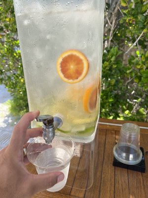 Encanto Beach Club Bar & Grill by null