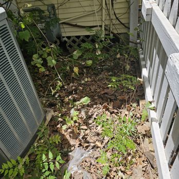 Greenway Landscaping & Concrete Services - Brush not cut - Landscaping Near Me Greenway Landscaping & Concrete Services - Brush not cut - Landscaping Near Me