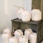 Photo of The Catered Coconut