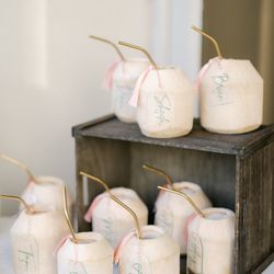 The Catered Coconut - These are coconut cups with a clean front, ready for your specialized escort card and custom cocktail
