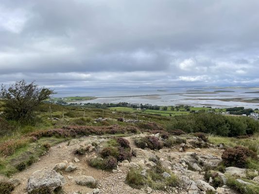 Croagh Patrick by null