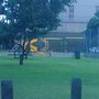 Photo of McInerney Reserve