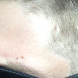Pro-Cuts - Where she slammed the trimmers into my head giving me a bald spot and going WAY TO HIGH with the 1.5