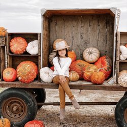 Sweet Thistle Farms