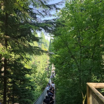 Capilano Suspension Bridge Park - Parks Near Me - North Vancouver, British Columbia