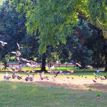 Hyde Park - Parks Near Me Hyde Park - Parks Near Me