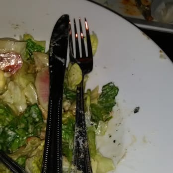 Lark - This place is unsanitary #roaches - Pizza Near Me - Chicago, Illinois Lark - This place is unsanitary #roaches - Pizza Near Me - Chicago, Illinois