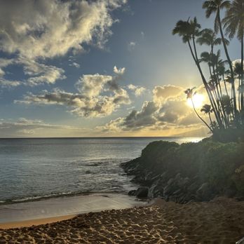 Sea House Restaurant - Oceanfront dining at Napili Bay - Seafood Near Me - Lahaina, Hawaii