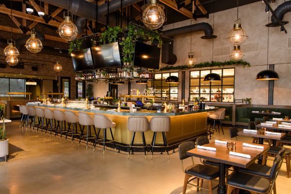 Culinary Dropout by null