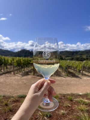 CAST Wines by null