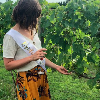 Silarian Vineyards - a woman picking grapes - Wineries Near Me - Cato, Wisconsin Silarian Vineyards - a woman picking grapes - Wineries Near Me - Cato, Wisconsin