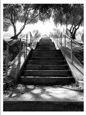 Hollyhock House by null