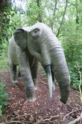 Port Lympne Safari Park by null