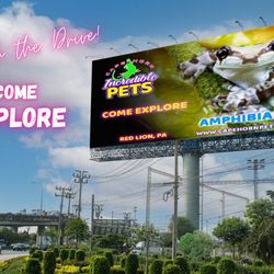 Cape Horn Incredible Pets
