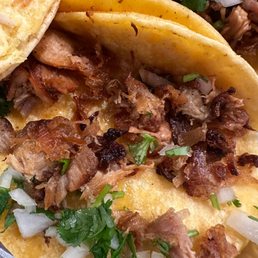 Burnt Gristly Carnitas Tacos Burnt Gristly Carnitas Tacos