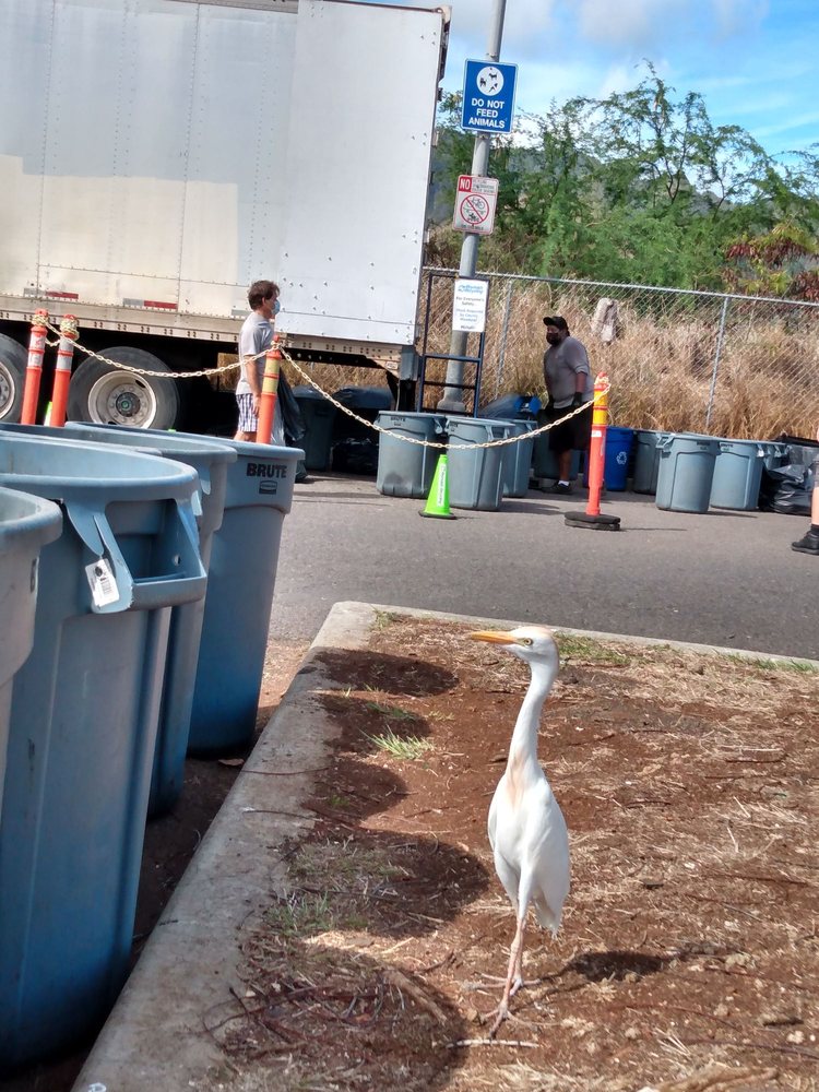 REYNOLDS RECYCLING 17 Photos & 13 Reviews Recycling Center 6514