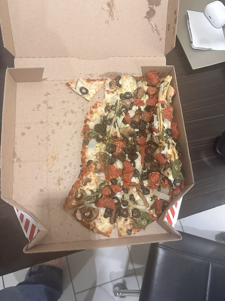 Domino's Pizza Logo