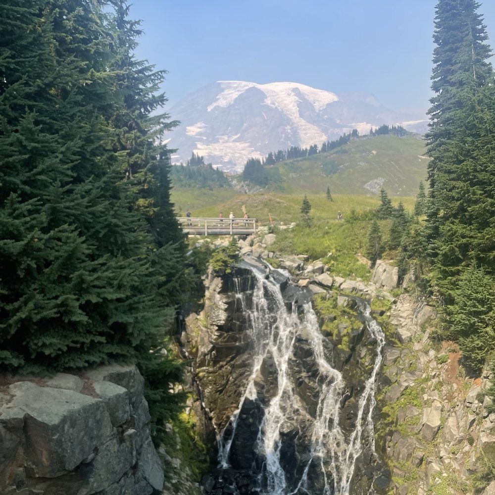 Myrtle falls