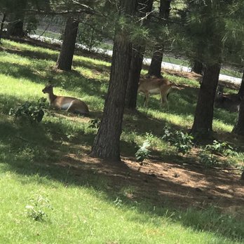 Alabama Safari Park - Zoos Near Me - Hope Hull, Alabama