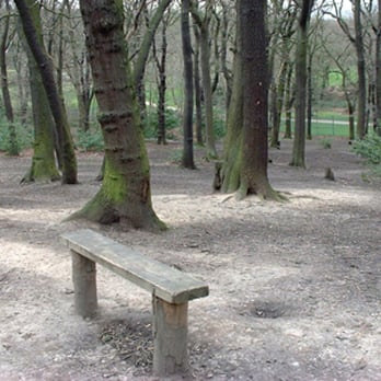 Sydenham Hill Wood - Parks Near Me - London, XGL