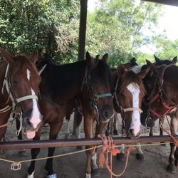 Chain O'Lakes State Park Stables