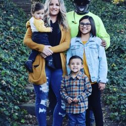 The Tree Guys LLC - Tree Services