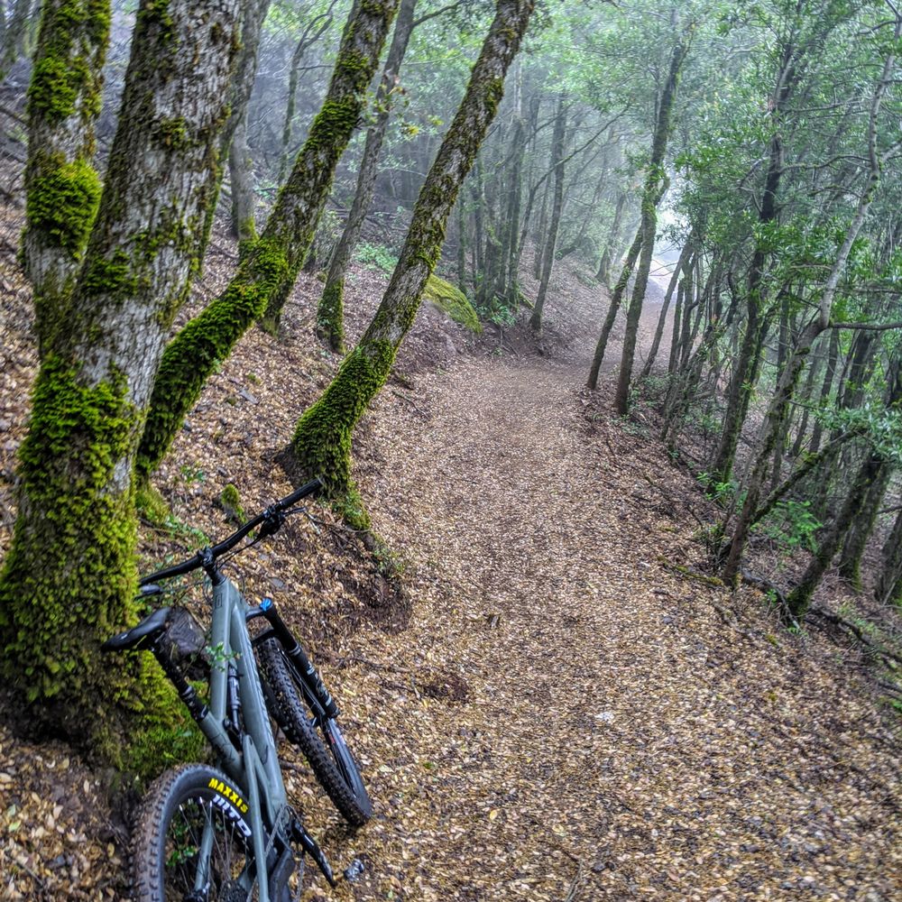 Summit Bicycles - Mt. Unumhum on the downhill. Even the low gears were great on the uphill. - Bikes Near Me - Los Gatos, California Summit Bicycles - Mt. Unumhum on the downhill. Even the low gears were great on the uphill. - Bikes Near Me - Los Gatos, California
