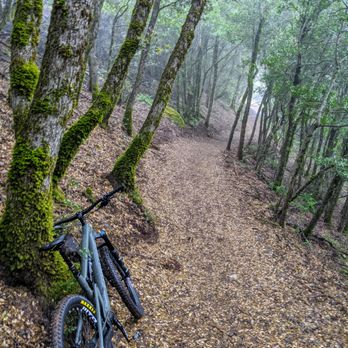 Summit Bicycles - Mt. Unumhum on the downhill. Even the low gears were great on the uphill. - Bikes Near Me - Los Gatos, California