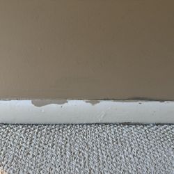 The assembly men - Paint over the trim.