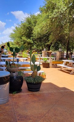 Nancy's Sky Garden (@Lakeline Mall Dr) by null