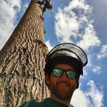 Primal Tree Service - Teaching my ground guy how to climb. - Tree Services Near Me - Sedro Woolley, Washington Primal Tree Service - Teaching my ground guy how to climb. - Tree Services Near Me - Sedro Woolley, Washington
