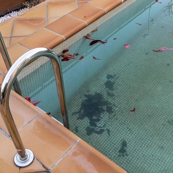 Echo Pool Services - Our pool after service with Echo Pool Service. - Pool Cleaners Near Me - Tampa, Florida