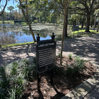 Lake Lily Park - Parks Near Me - Maitland, Florida Lake Lily Park - Parks Near Me - Maitland, Florida