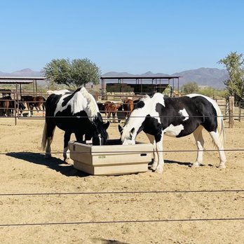 Reigning Grace Ranch - Community Service/Non-Profit Near Me - Rio Verde, Arizona Reigning Grace Ranch - Community Service/Non-Profit Near Me - Rio Verde, Arizona