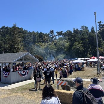 World's Largest Salmon BBQ - Line to get salmon once you acquire a ticket at 12:15. Line took 10-20 minutes - Barbeque Near Me - Fort Bragg, California