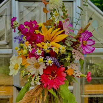 PollenNation Designs - Florists Near Me - San Antonio, Texas