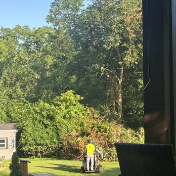Redwood Tree Experts - Tree Services Near Me - Marion, Ohio