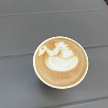 Ocean Beach Coffee and plants - Coffee & Tea Near Me - San Diego, California Ocean Beach Coffee and plants - Coffee & Tea Near Me - San Diego, California