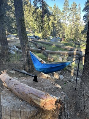 Lodgepole Campground by null