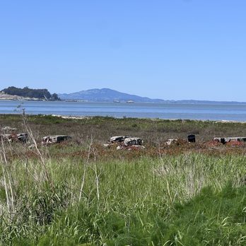 Sailing Goat Restaurant - Beach area - Seafood Near Me - Richmond, California Sailing Goat Restaurant - Beach area - Seafood Near Me - Richmond, California