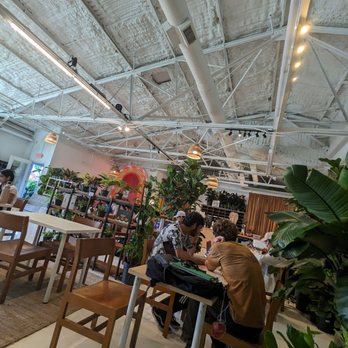 Eden Plant - Nurseries & Gardening Near Me - Houston, Texas