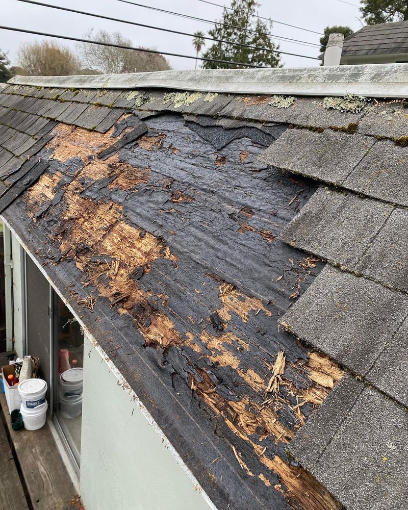 Slide of Pio’s Roofing