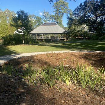 Hilltop Arboretum - Parks Near Me - Baton Rouge, Louisiana Hilltop Arboretum - Parks Near Me - Baton Rouge, Louisiana