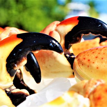 Garcia Bros Seafood - a close up of a stone crab's claws - Seafood Markets Near Me - Miami, Florida Garcia Bros Seafood - a close up of a stone crab's claws - Seafood Markets Near Me - Miami, Florida