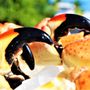 Photo of Garcia Bros Seafood