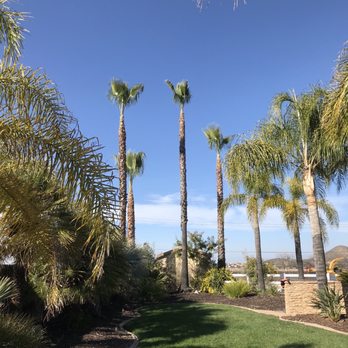 Ortega's Jr Tree Service - Tree Services Near Me - Riverside , California Ortega's Jr Tree Service - Tree Services Near Me - Riverside , California