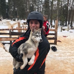 Expedition Wolf - Aw...puppy!