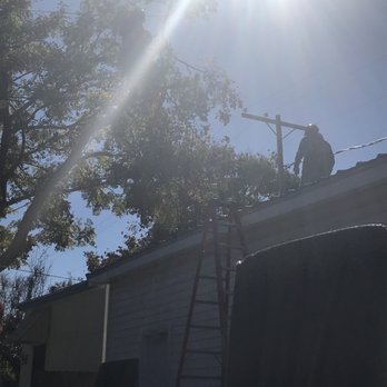 T&T Tree Specialist - Tree Services Near Me - Ama, Louisiana T&T Tree Specialist - Tree Services Near Me - Ama, Louisiana