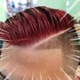 Photo of Quality Hair Salon & Barbershop